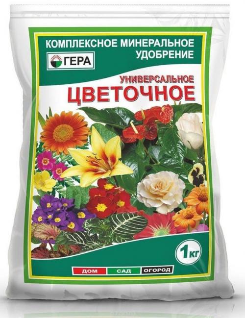 Лапчатка обрезка на пень. Уход за лапчаткой в осеннее время