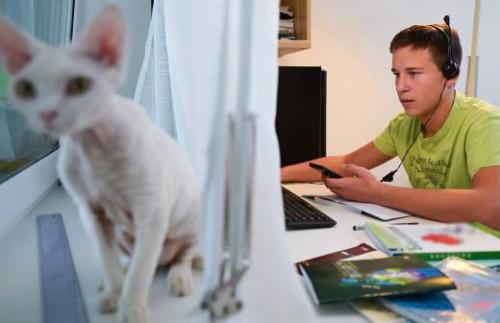 Россиянам назвали условие продления майских праздников. Названо условие для продления майских праздников для россиян 14