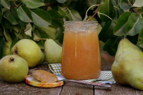 Какие блюда можно приготовить из зимнего сорта груши. 20 самых вкусных заготовок из груши на зиму