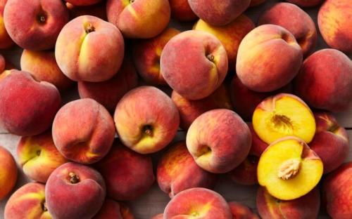 Поздние сорта персика. Самые лучшие сорта персиков с фото и описанием 07