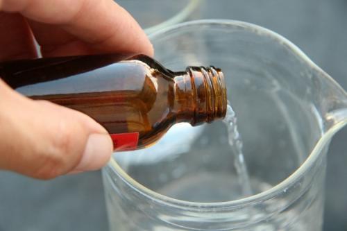 Лавровый лист от мошек в цветах.