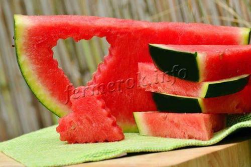 Сахарный малыш арбуз описание. Сотр арбуза Сахарный малыш 04 Сахарный малыш арбуз описание. Сотр арбуза Сахарный малыш 04