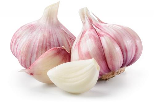 Черные летающие мошки в цветах. 15 ПРОСТЫХ способов, как избавиться от мошек в комнатных горшковых цветах