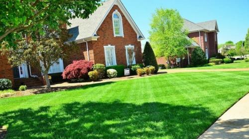 Ландшафтный дизайн газона. Все о газонах