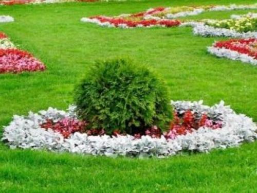 Красивый газон и ландшафт перед домом. Тонкости в дизайне палисадника 06 Красивый газон и ландшафт перед домом. Тонкости в дизайне палисадника 06