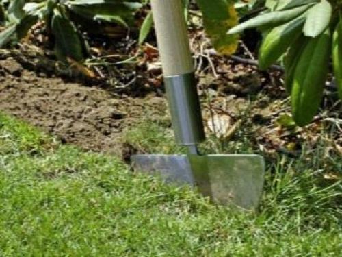 Красивый газон и ландшафт перед домом. Тонкости в дизайне палисадника 03 Красивый газон и ландшафт перед домом. Тонкости в дизайне палисадника 03