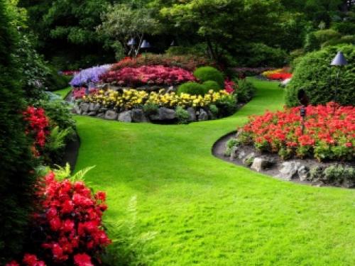 Красивый газон и ландшафт перед домом. Тонкости в дизайне палисадника 11 Красивый газон и ландшафт перед домом. Тонкости в дизайне палисадника 11