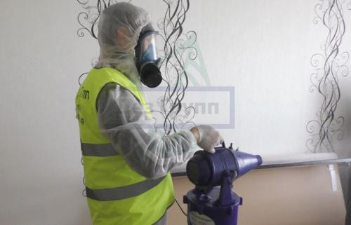 Как избавиться от мелких мошек в доме. Причины появления мошек в квартире 10