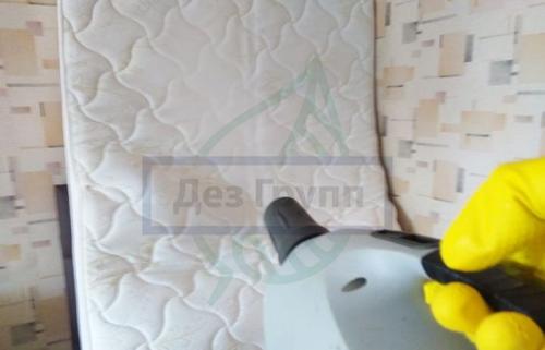 Как избавиться от мелких мошек в доме. Причины появления мошек в квартире 11