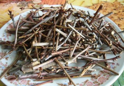 Чай из веток вишни. Чай из веточек вишни, польза и вред для организма