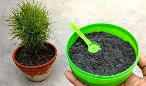 Перекись водорода от мошек в цветах. Народные средства борьбы с мошками