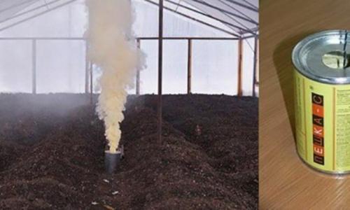 Какие преимущества окуривания садов и огородов дымом перед другими методами защиты растений. Серная шашка для теплицы из поликарбоната и ее табачные конкурентки