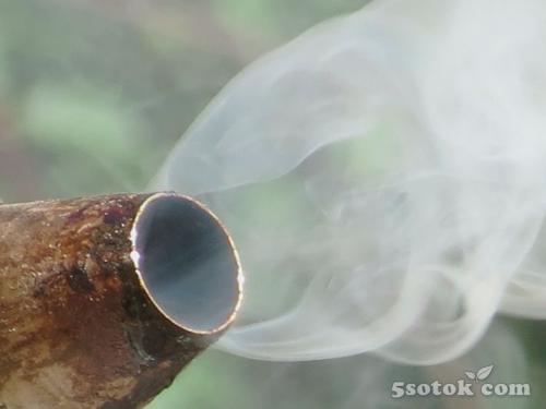 Влияние дыма на растения: загадка окуривания садов и огородов 01