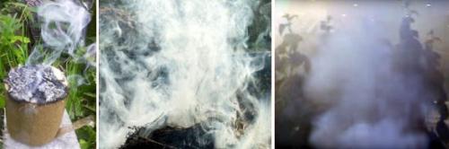 Какие вещества содержатся в дыме, который используется для окуривания садов и огородов. Как это работает