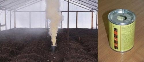 Серная шашка для теплиц и парников. Как использовать серную шашку в теплице 02