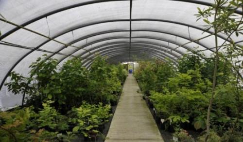 Серная шашка для теплиц и парников. Как использовать серную шашку в теплице 03