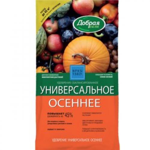 Как обеспечить защиту малины от вредителей и болезней. Подготовка кустарника к обработке