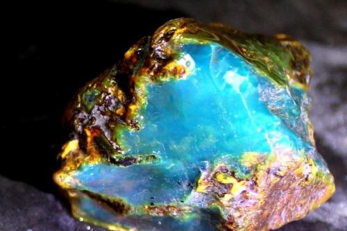 Какие ценности придает янтарь в ювелирном деле. Разновидности и цвета