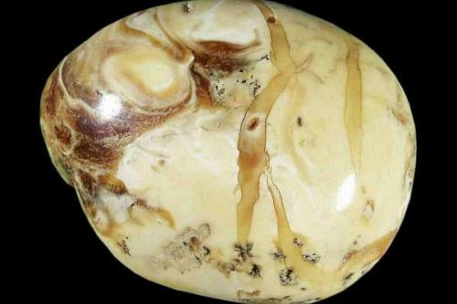 Какие ценности придает янтарь в ювелирном деле. Разновидности и цвета