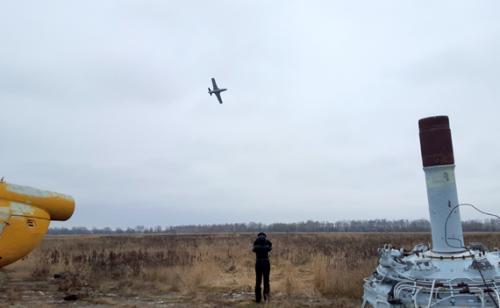 Есть ли какие-либо свидетельства о том, что медведи могут летать. Авиамедведь