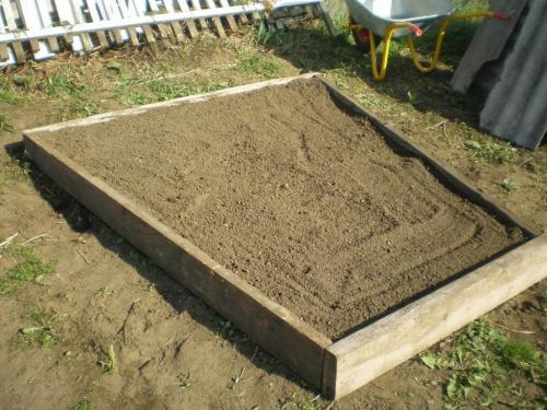 Что такое школка для саженцев винограда. Посадка винограда черенками осенью 08 Что такое школка для саженцев винограда. Посадка винограда черенками осенью 08