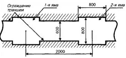 Как вырастить виноград из черенка осенью. Черенкование винограда: заготовка, нарезка, посадка, уход