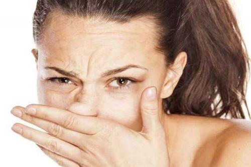 Всё о школке: от выбора до приготовления 22 Всё о школке: от выбора до приготовления 22