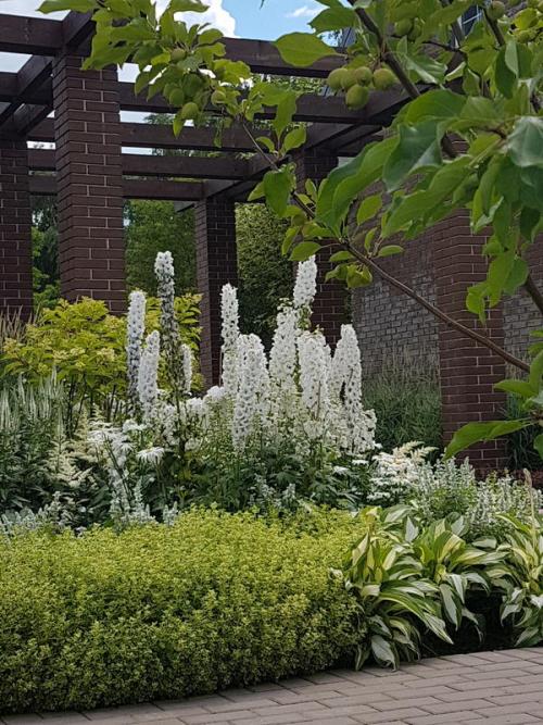 Как можно предотвратить вредное влияние цемента на растения