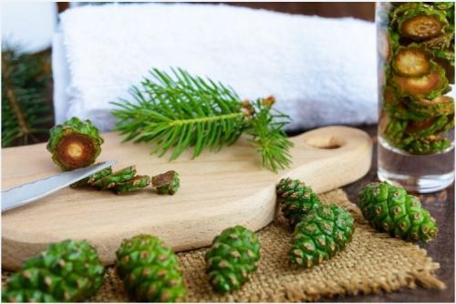 Всё о школке: от выбора до приготовления 21 Всё о школке: от выбора до приготовления 21