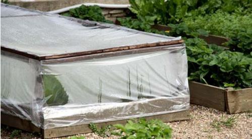 Как сделать школку для растений. Как сделать школку? 04