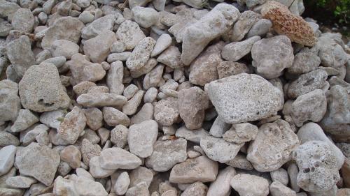 Как сделать школку для растений. Как сделать школку? 10