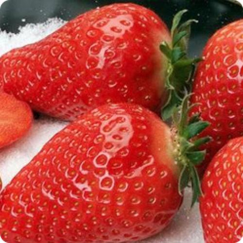 Земляника садовая. Самые лучшие сорта земляники садовой с описанием и фото