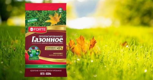 Как часто нужно поливать цветник на газоне