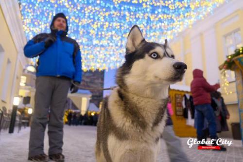 Выставка-ярмарка Осенний блюз в Екатеринбурге. Осенний блюз 2021, Екатеринбург, 8 – 10 сентября 2021 года 03