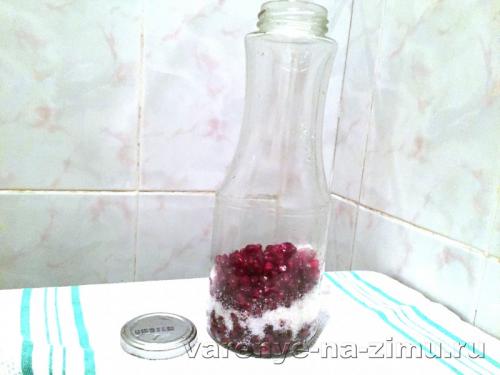 Как хранить приготовленный компот из граната и яблок. Как приготовить компот из граната – рецепт с фото пошагово