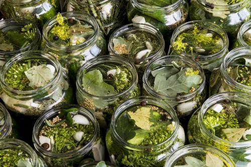 Сладкие огурцы по-фински. Рецепт огурцов по-фински