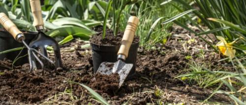 Дача в мае. Работы в саду и огороде в мае 2021 года, что нужно сделать, как выбрать подходящее время