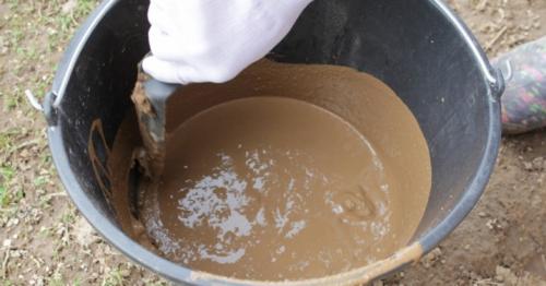 Как заделать дупло в орехе. Чем можно замазать? 02 Как заделать дупло в орехе. Чем можно замазать? 02