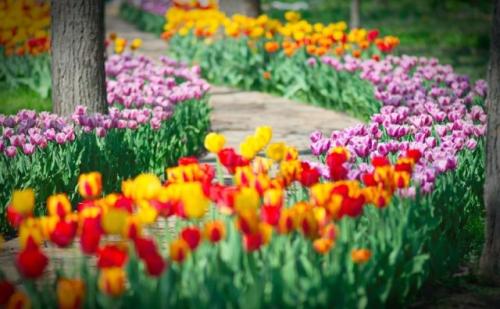 Что сделать в мае. Что делать в мае: 10 дел, которые стоит выполнить в этом месяце!