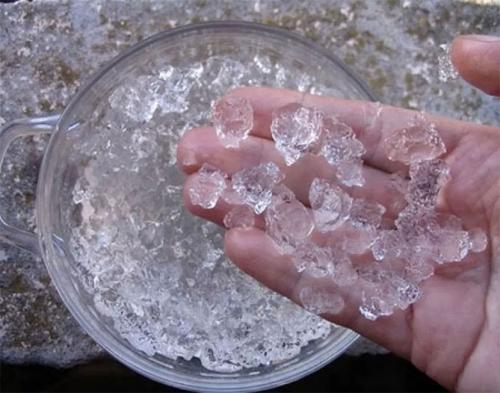 Клубника выращивание дома. Выращивание клубники на подоконнике круглый год, отзывы