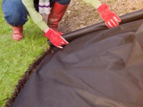 Технология посадки виноградной школки под зиму. Высадка черенков осенью 05