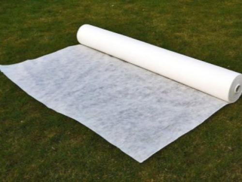 Технология посадки виноградной школки под зиму. Высадка черенков осенью 04