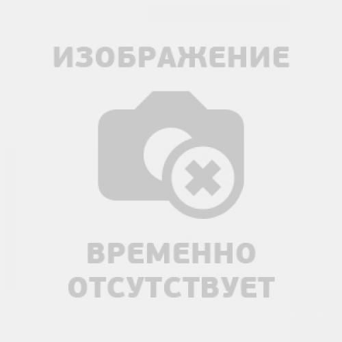 Слива Светлана: все, что нужно знать о сорте 03