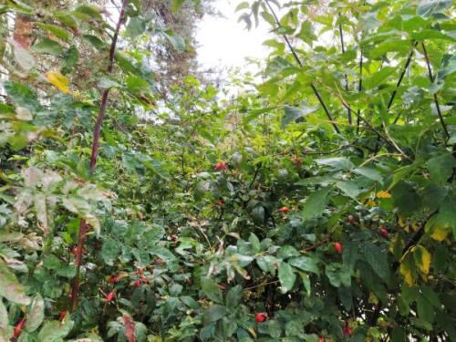 Федорин день 24 сентября. Федорины вечерки: что можно и нельзя делать 24 сентября и почему – приметы и традиции