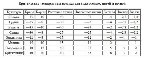 Как защитить сад от весенних заморозков. Влияние заморозков на садово-огородные культуры 02