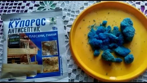 Первая обработка сада от грибков и вредителей весной. Наступление ранней весны и первые мероприятия в саду