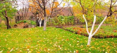 Чем обработать сад осенью, чтобы избавиться от болезней и вредителей