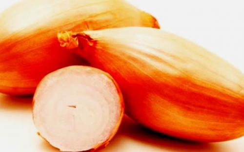 Лук длительного хранения сорта. Выбор сорта 08