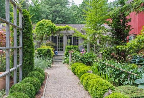 Туя шаровидная быстрорастущая. Привлекательность шаровидных туй: что выбрать и как ухаживать?