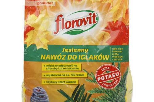 Нужно ли чистить туи осенью. Уход за туями в саду осенью: что делать с кустарником
